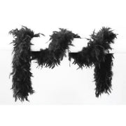 Op deze afbeelding zie je een Accessoires, van het merk Wilbers. Lange Boa Met Veren Zwart 180 Centimeter