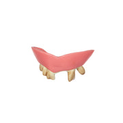 Op deze afbeelding zie je een Accessoires, van het merk Wilbers. Nooit Gepoetst Gebit