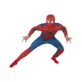 Volwassen Amazing Spider-Man 2 Deluxe Kostuum