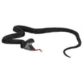 Slinky Slang
