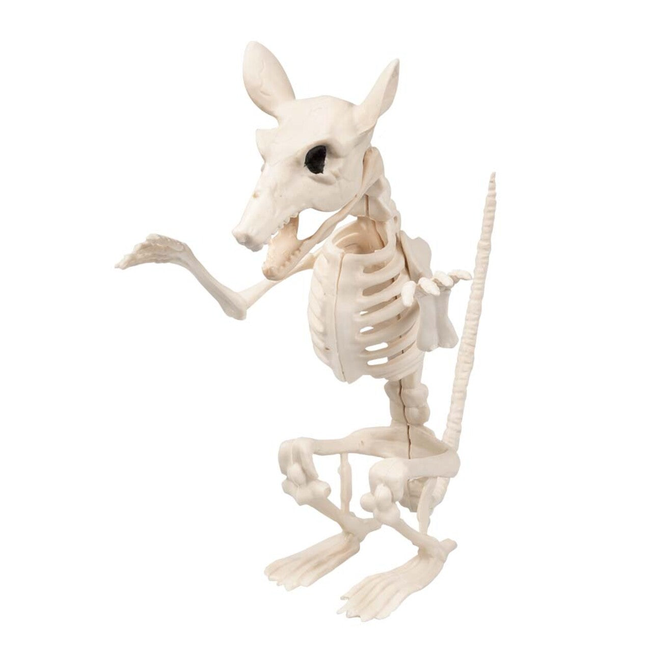 Op deze afbeelding zie je een Decoratie, van het merk Boland. Decoratie Skelet Ratten Rap