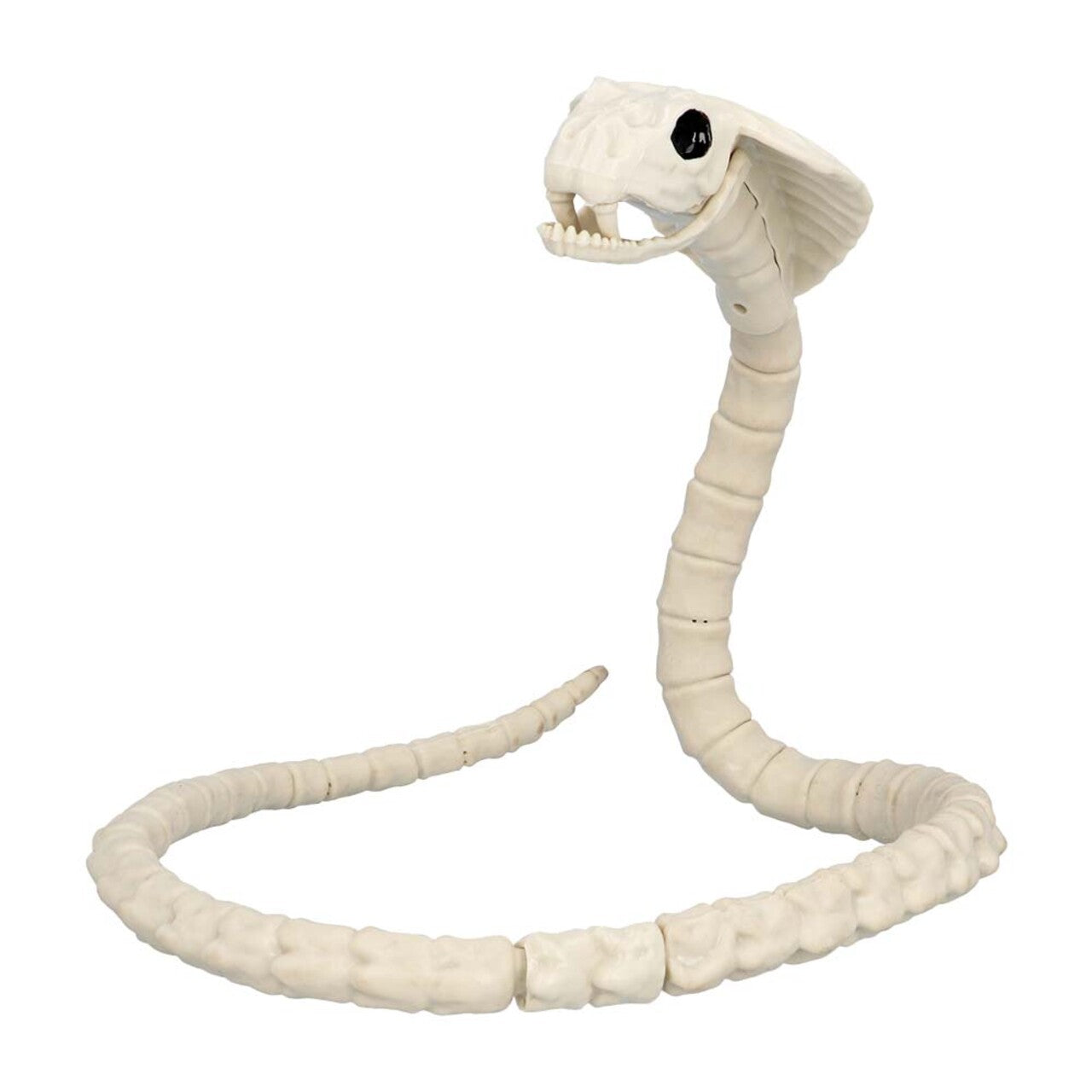 Op deze afbeelding zie je een Decoratie, van het merk Boland. Decoratie Skelet Cobra Fangs