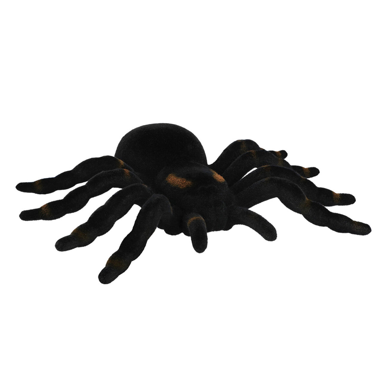 Op deze afbeelding zie je een Decoratie, van het merk Boland. Decoratie Nachtkruiper Tarantula Spin