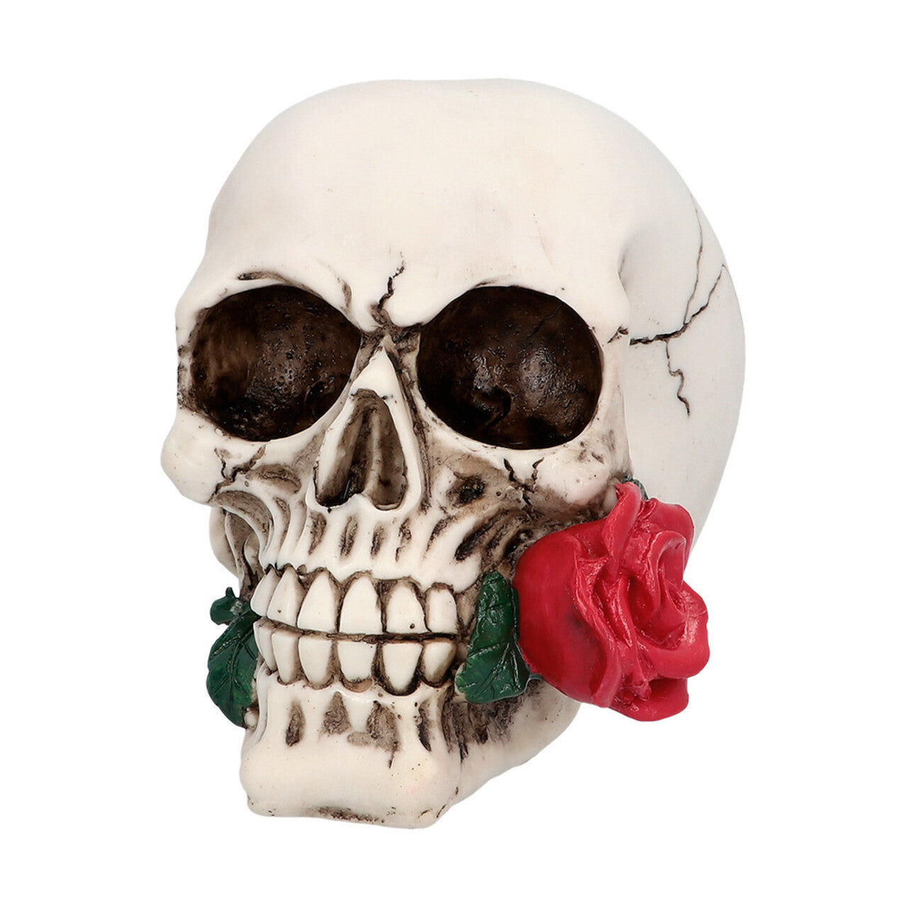 Op deze afbeelding zie je een Decoratie, van het merk Boland. Schedel Eeuwige Romanticus Casanova