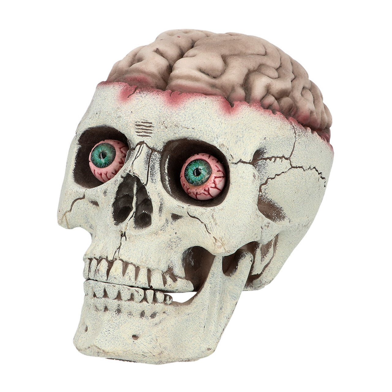 Op deze afbeelding zie je een Decoratie, van het merk Boland. Decoratie Schedel Brain-Dead Met Beweegbare Kaak