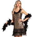 Jaren 20 Gouden Flapper Pauw Vrouw Kostuum
