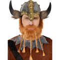 Stoere Viking Baard Met Vlechtjes