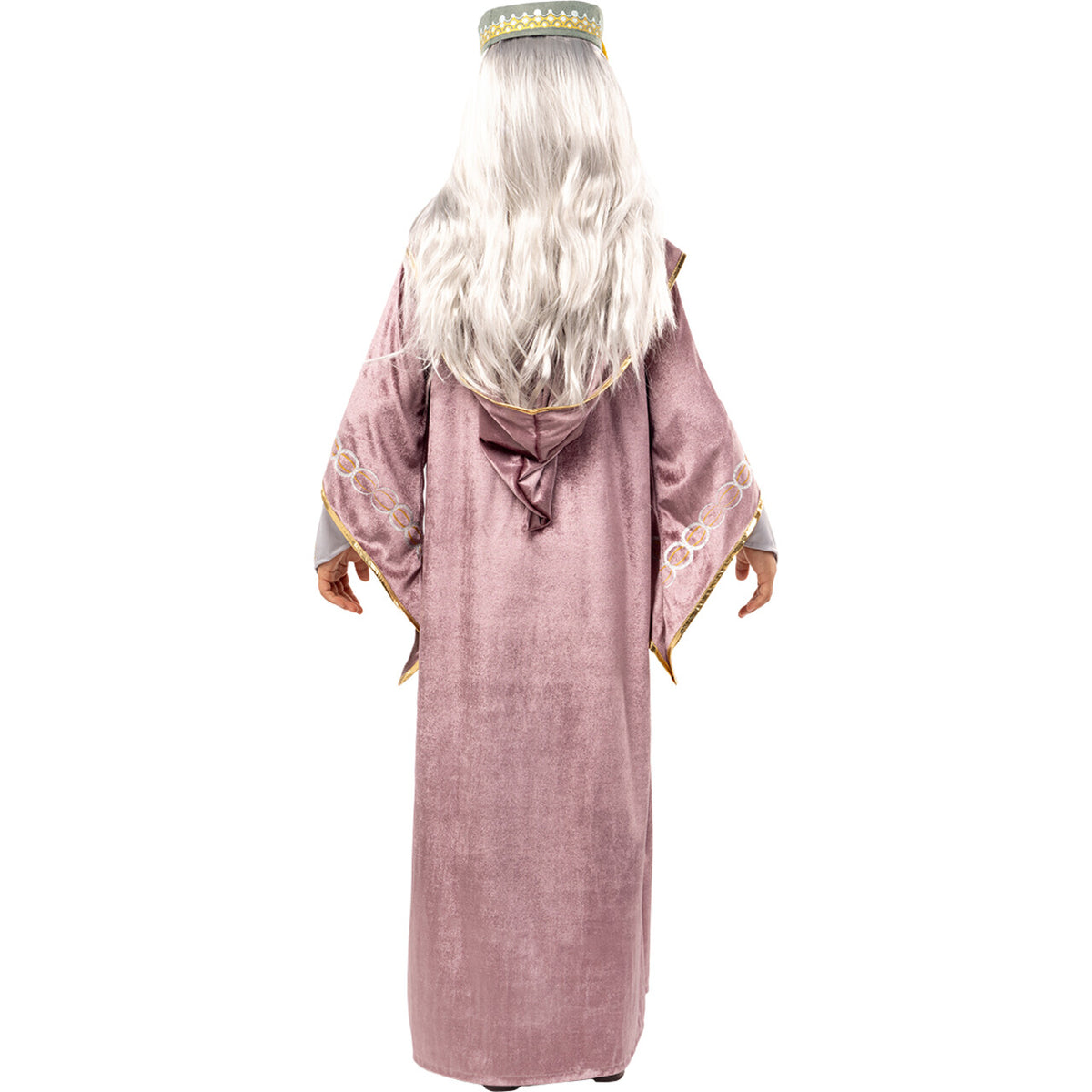 Op deze afbeelding zie je een Kostuums, van het merk Funidelia. Wizard Dumbledore Harry Potter Jongen Kostuum