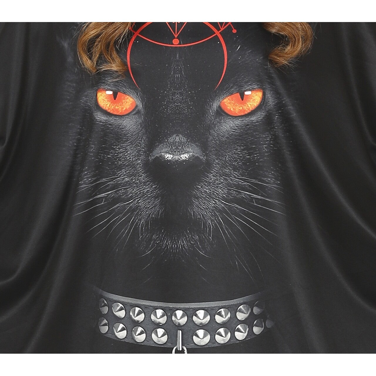 Op deze afbeelding zie je een Kostuums, van het merk Guirca. Occulte Zwarte Ongelukskat Poncho Kostuum