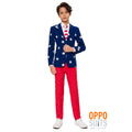 Stars & Stripes USA Tiener Jongen Kostuum