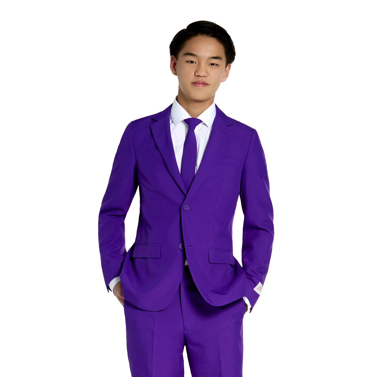 Op deze afbeelding zie je een Kostuums, van het merk Opposuits. Purple Prince Jongen Kostuum