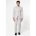 Helemaal Grijs Groovy Grey Man Kostuum