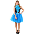 Tule Rok Uit Dansen Blauw Vrouw