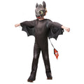 Toothless Tandloos Bijtkwijt How To Train Your Dragon Kind Kostuum
