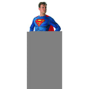 Op deze afbeelding zie je een Kostuums, van het merk Rubies. Super De Super Superman Kostuum