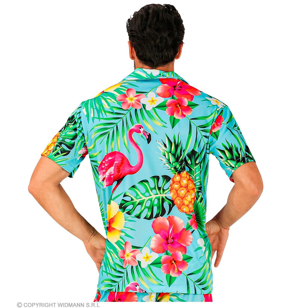 Op deze afbeelding zie je een Kostuums, van het merk Widmann. Flamin Go Tropical Party Shirt Man