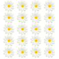 Madeliefjes Witte Bloemendecoratie 20 Stuks