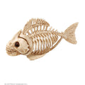 Decoratie Skelet Piranha Vis