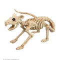 Decoratie Skelet Rat