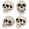Decoratie Schedel Met Beweegbare Kaak