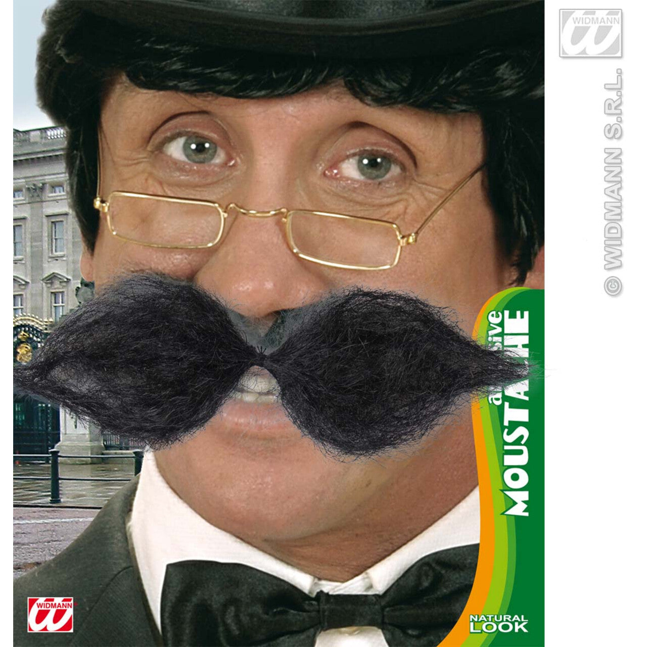 Op deze afbeelding zie je een Accessoires, van het merk Widmann. Snor Groot, Zwart