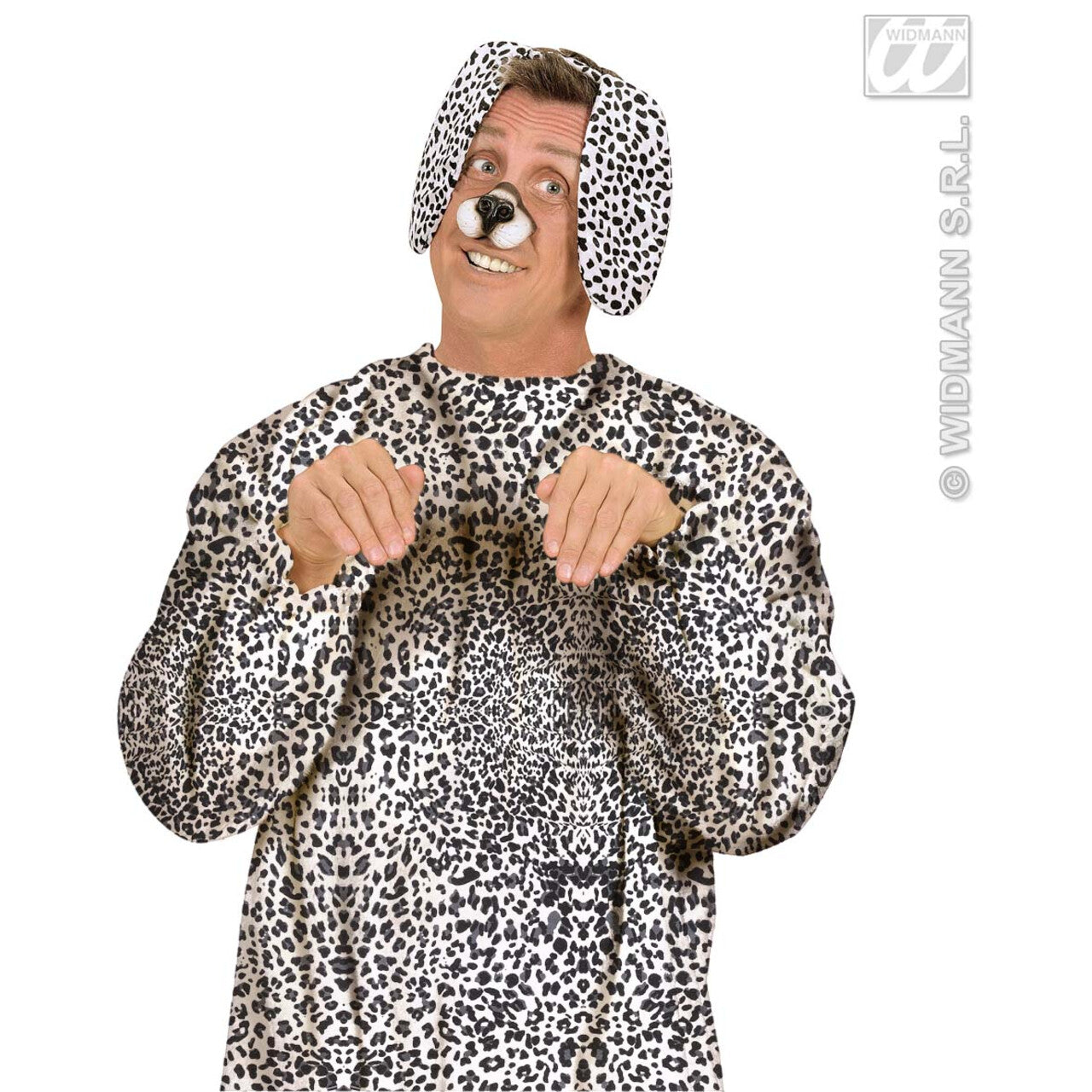 Op deze afbeelding zie je een Accessoires, van het merk Widmann. Oren Dalmatier