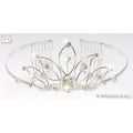 Diadeem Met Diamanten