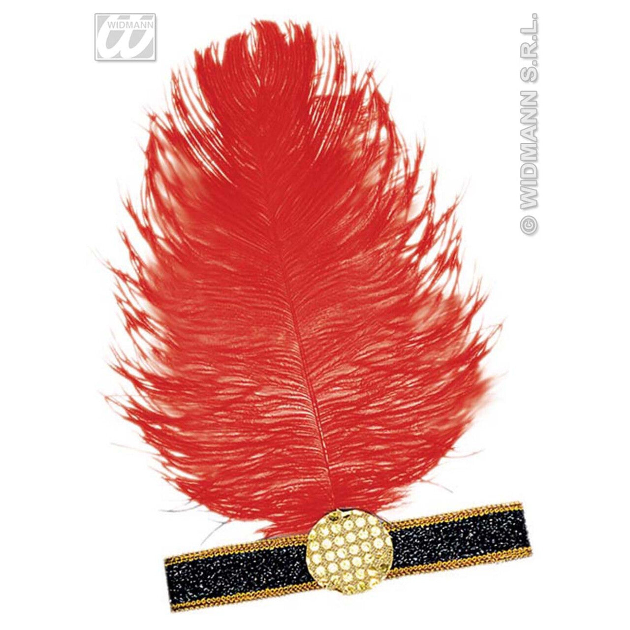 Op deze afbeelding zie je een Accessoires, van het merk Widmann. Hoofdband Charleston Met Veer