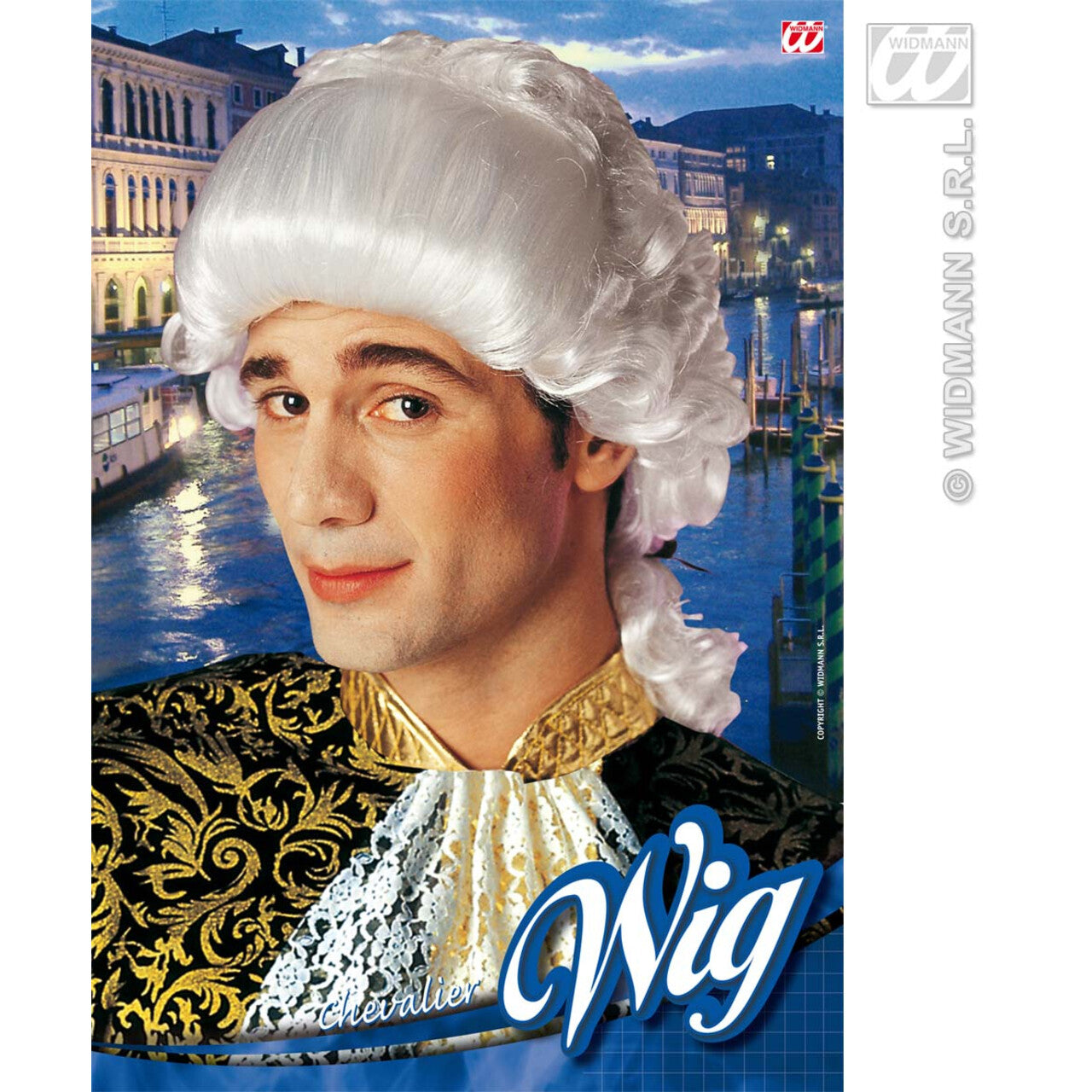 Op deze afbeelding zie je een Accessoires, van het merk Widmann. Pruik, Kavalier