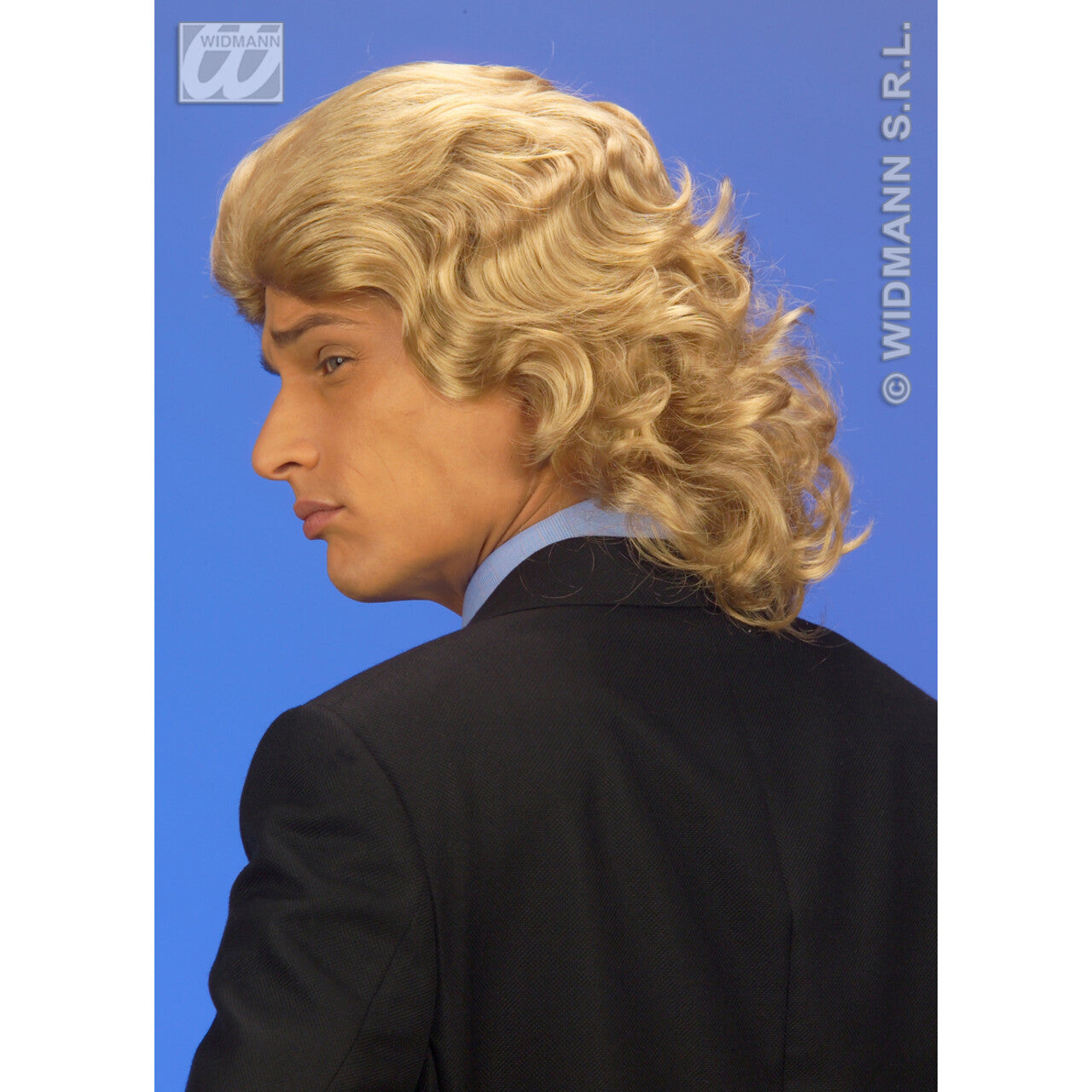 Op deze afbeelding zie je een Accessoires, van het merk Widmann. Pruik, Frankie Blond