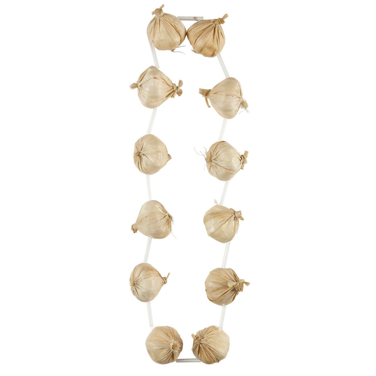 Op deze afbeelding zie je een Accessoires, van het merk Widmann. Anti-Dracula Knoflook Ketting, 48 Centimeter
