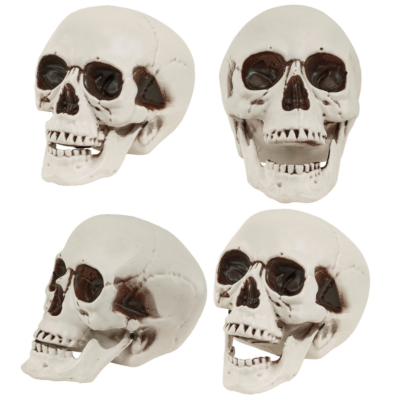Op deze afbeelding zie je een Decoratie, van het merk Widmann. Halloween Schedel Met Beweegbare Kaak
