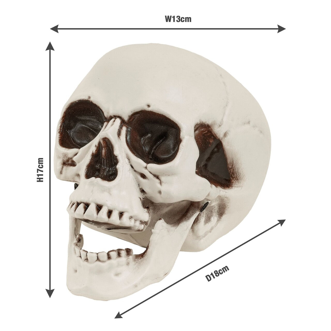 Op deze afbeelding zie je een Decoratie, van het merk Widmann. Halloween Schedel Met Beweegbare Kaak