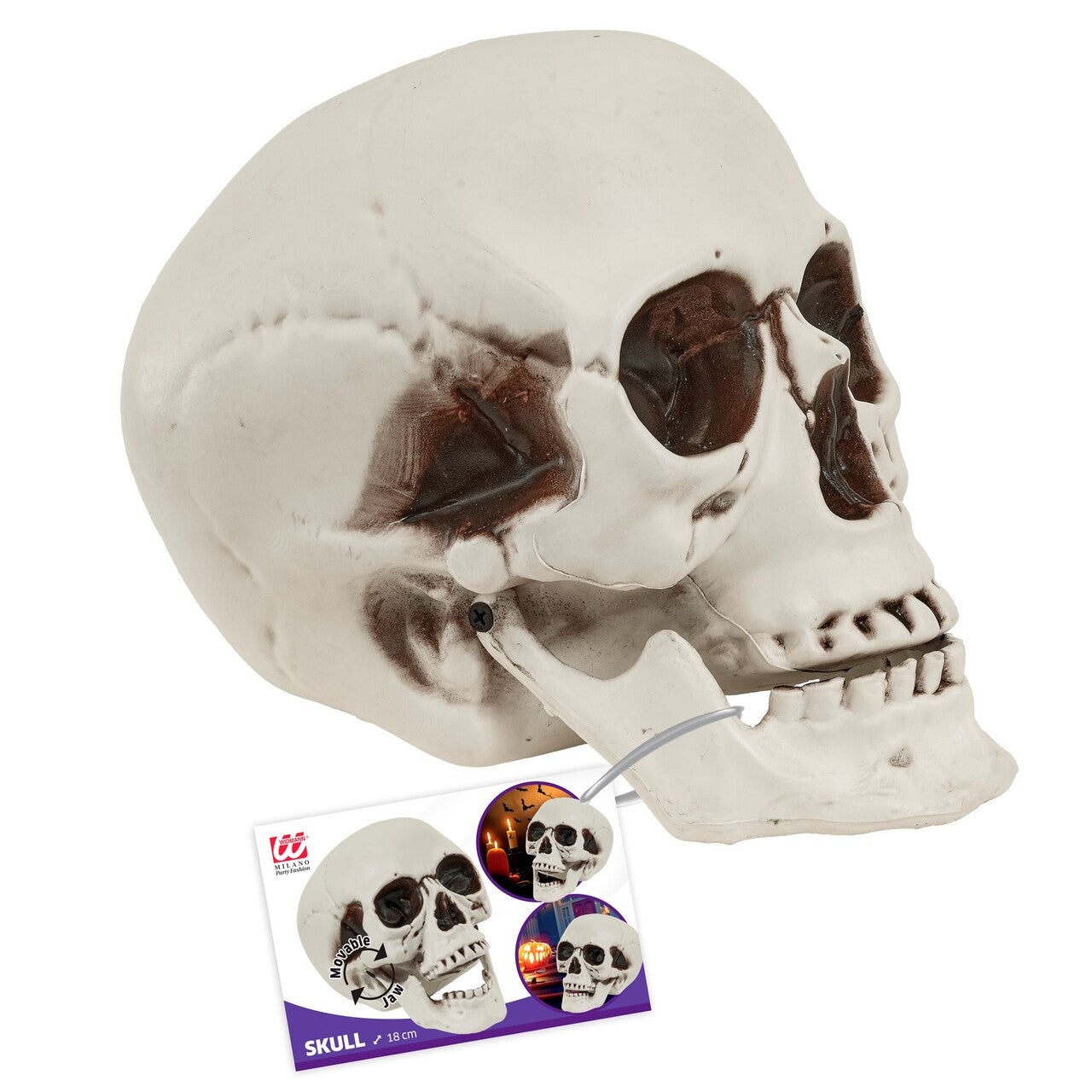 Op deze afbeelding zie je een Decoratie, van het merk Widmann. Halloween Schedel Met Beweegbare Kaak