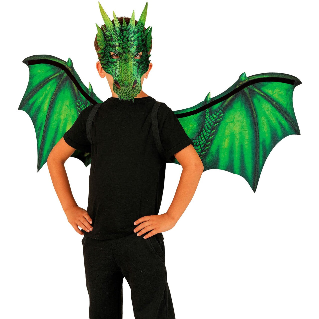 Op deze afbeelding zie je een Accessoires, van het merk Widmann. Vurige Draak Set