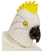 Op deze afbeelding zie je een Accessoires, van het merk Widmann. Cartoony Masker, Kaketoe