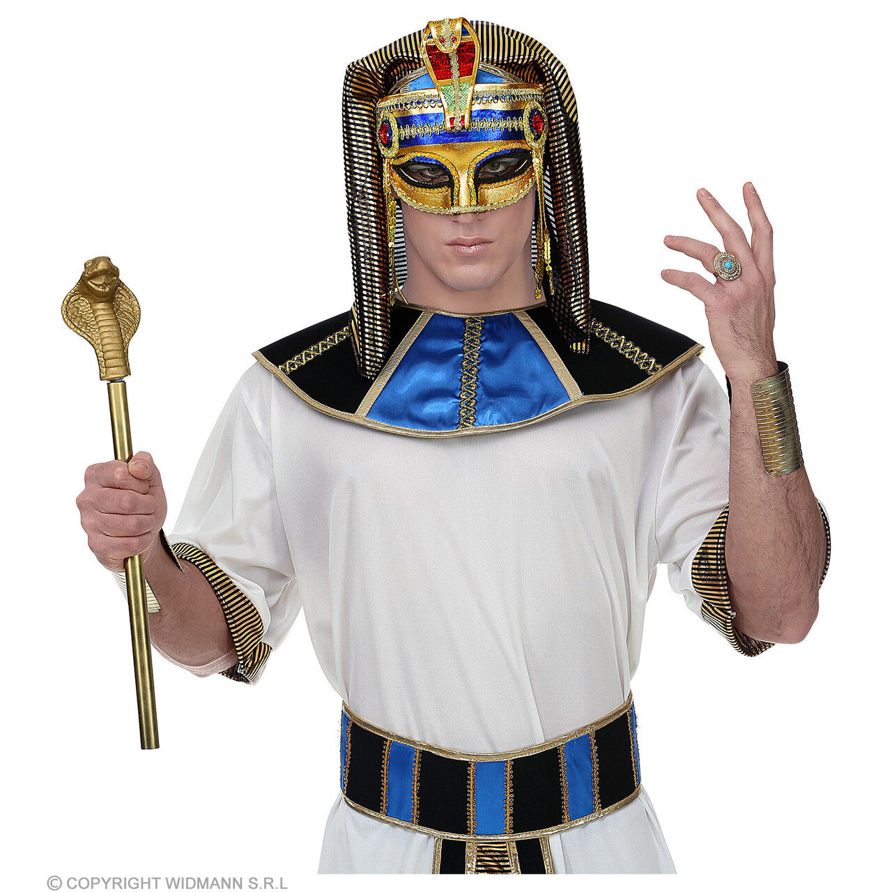 Op deze afbeelding zie je een Accessoires, van het merk Widmann. Oogmasker Farao Slang