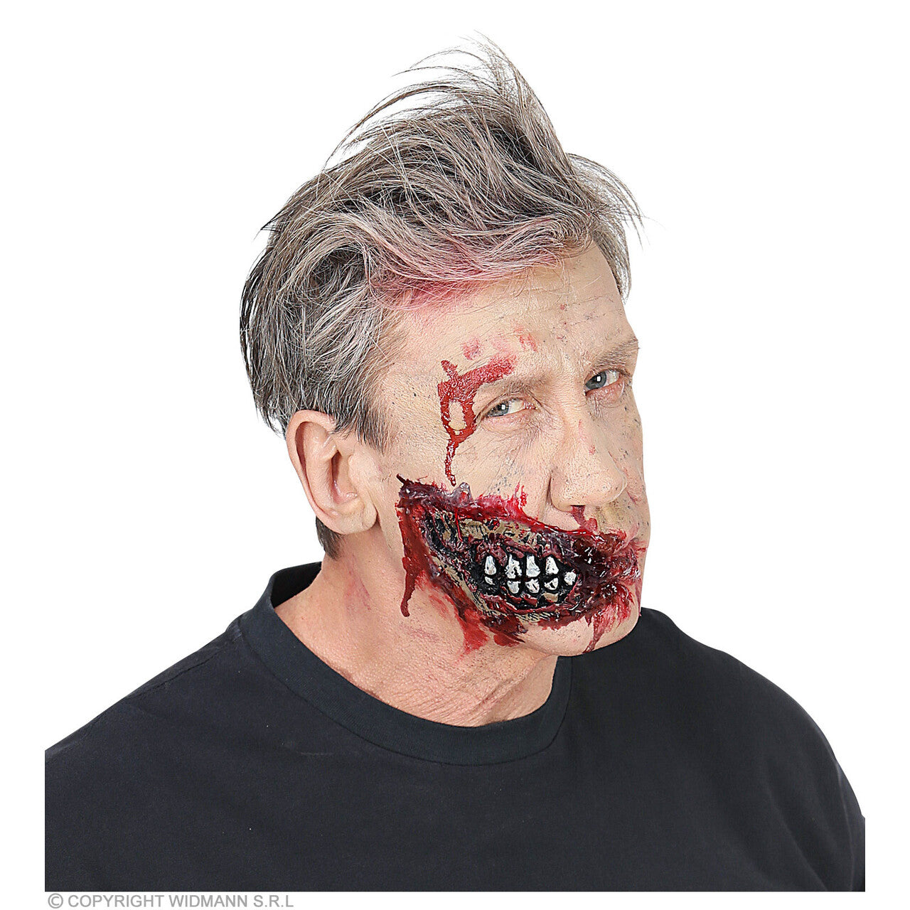 Op deze afbeelding zie je een Accessoires, van het merk Widmann. Zombie Bloederig Plakkaak