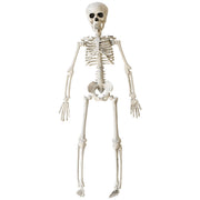 Op deze afbeelding zie je een Decoratie, van het merk Widmann. Bungelend Skelet 40 Centimeter