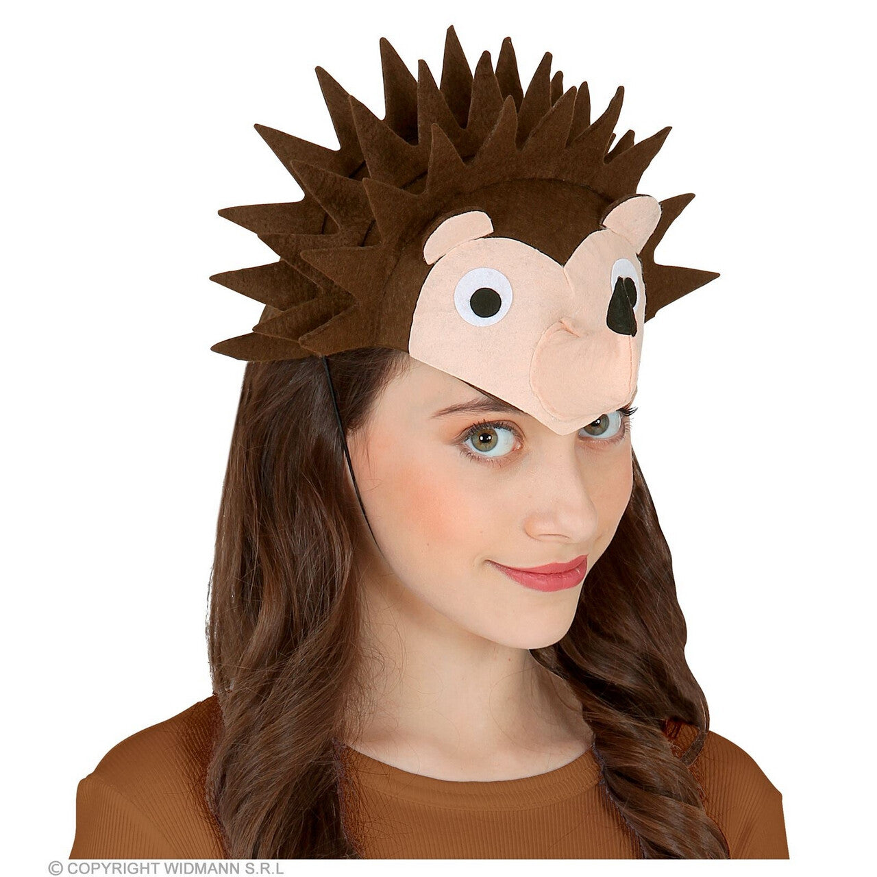 Op deze afbeelding zie je een Accessoires, van het merk Widmann. Spike Prik Egel Op Je Hoofd
