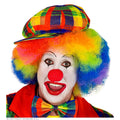 Vet Kleurige Pet Clown Geblokt
